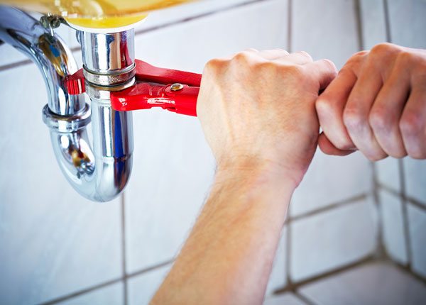 About Eden Plumbers
